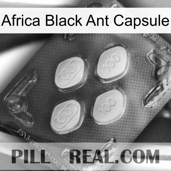 Africa Black Ant Capsule 02.jpg